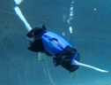 Il robot anfibio dimostra la sua abilità da nuotatore in piscina (Fonte: Courtesy of the lab of Rebecca Kramer-Bottiglio) (ANSA)