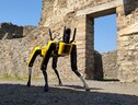 A Pompei un cane robot  per esplorare i cunicoli dei tombaroli (ANSA)