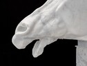 Un marmo Elgin 'clonato' va in mostra a Londra (ANSA)