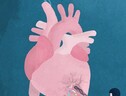 Svelato il ruolo delle mutazioni genetiche nello scompenso cardiaco (fonte: Eleonora Adami, MDC)  (ANSA)