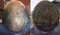 Hairclinic lancia ‘protocollo inclusivo’ contro la calvizie (ANSA)