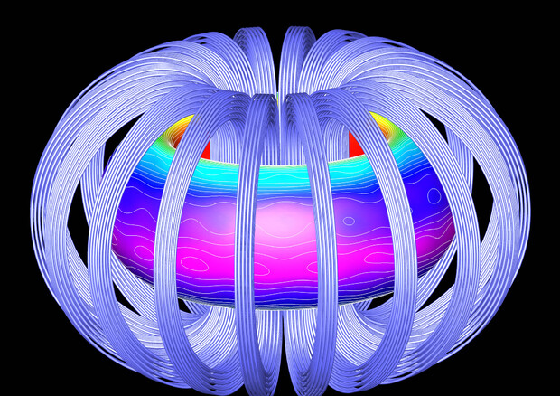 Rapprsentazione grafica del plasma nell'anello del reattore sperimentale a fusione Iter (fonte: Oak Ridge National Laboratory) © Ansa