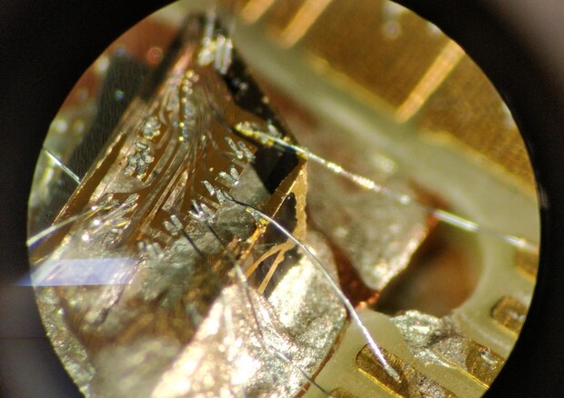 Uno dei diamanti artificiali usati per il trasferimento delle informazioni (fonte: Matteo Pompili QuTech) © Ansa