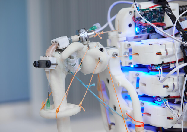 Il bioreattore installato in un robot umanoide per fabbricare tendini umani destinati ai trapianti (fonte: Fisher Studios) (ANSA)