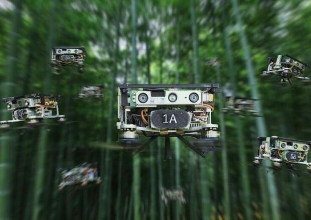Sciami di droni smart sono ora in grado di volare in modo autonomo in un ambiente complesso come quello di una foresta (fonte: Zhou et al, 'Swarm of micro flying robots in the wild', Science Robotics, 4 maggio 2022, Vol.7, Issue 66) © Ansa