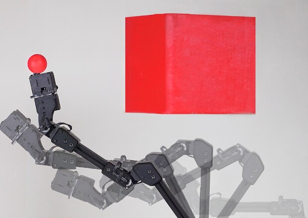 Il braccio robotico protagonista dell'esperimento che lo ha portato a essere consapevole dei suoi movimenti (fonte: Jane Nisselson e Yinuo Qin/ Columbia Engineering) © Ansa
