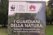 WWF-Huawei, dove coltivazioni biologiche 10% uccelli in piu'