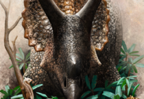 Triceratops prorsus che mastica le cicade disturba i cugini primitivi dei mammiferi placentali (a sinistra) e marsupiali (a destra) nel sottobosco, mentre una tartaruga dal guscio morbida si arrampica su un tronco (Fonte: Henry Sharpe)e (ANSA)