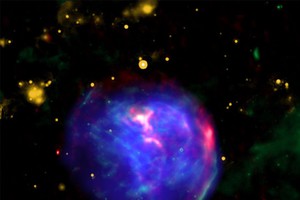 I resti della supernova G344.7-0.1, dopo l'esplosione di una nana bianca avvenuta fra 3.00 e 6.000 anni fa (fonte: NASA/CXC/Tokyo Univ. of Science/K. Fukushima, et al.; NASA/JPL/Spitzer; Radio: CSIRO/ATNF/ATCA) (ANSA)