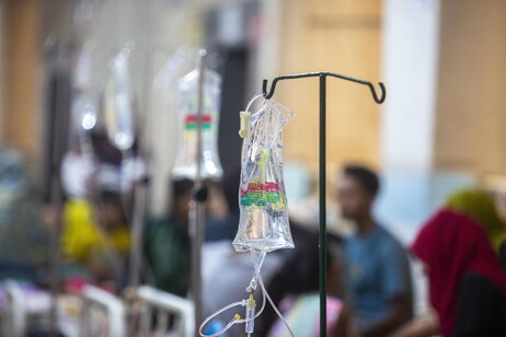 Non sono gravi i due pazienti ricoverati per Dengue allo Spallanzani