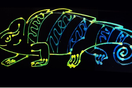 Un esempio della nuova tecnica di stampa 3D che, usando un solo inchiostro, imita la capacità dei camaleonti di cambiare colore (fonte: Sanghyun Jeon, Diao Lab)
