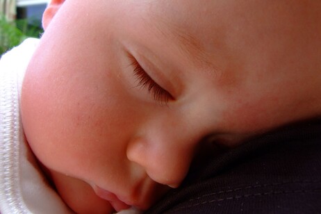 Durante il sonno il cervello si purifica (fonte: xlibber, da Wikipedia)