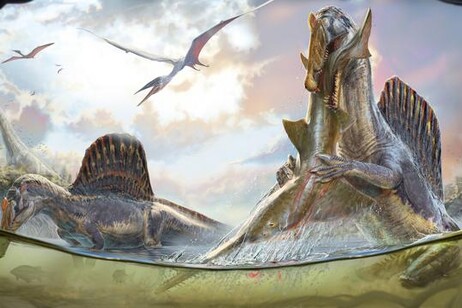 Rappresentazione artistica di una coppia spinosauri in acque vicine alla costa (fonte: Daniel Navarro)