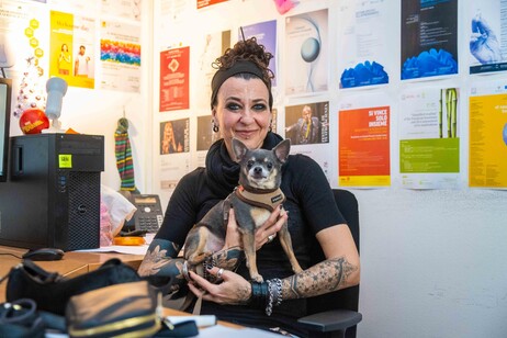 Rivoluzione alla Bicocca: cani e gatti potranno stare in ufficio con i padroni (Andrea Fasani)