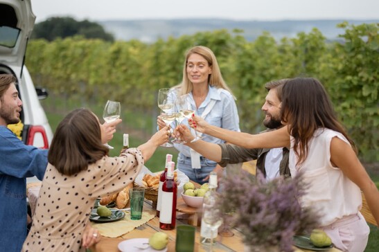 Vitigni Aperti nelle cantine del Movimento turismo del vino