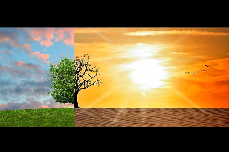 Secondo gli esperti il cambiamento climatico può trasformarsi in una catastrofe per l 'umanità (fonte: Pixabay) - RIPRODUZIONE RISERVATA