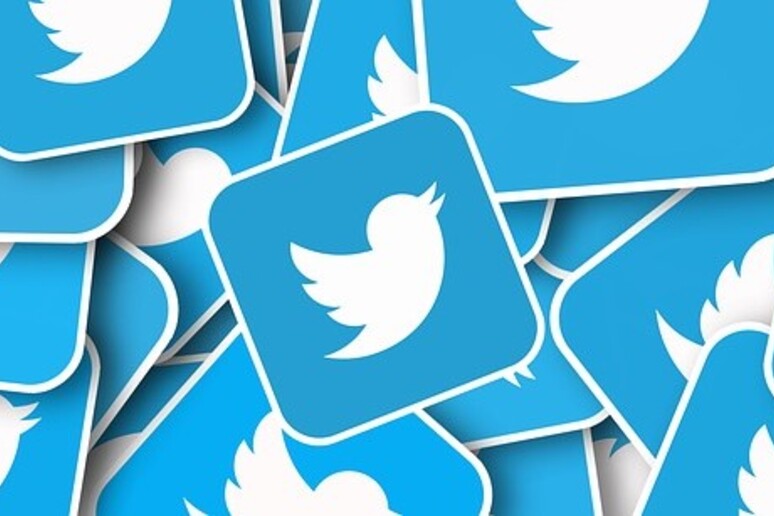 Anche scienziati tra gli utenti che potrebbero lasciare Twitter - RIPRODUZIONE RISERVATA