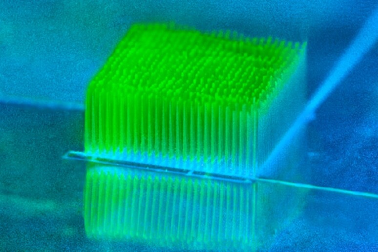 Colonie di batteri crescono in mini-grattacieli stmpati in 3D per produrre energia pulita (fonte: Gabriella Bocchetti) - RIPRODUZIONE RISERVATA