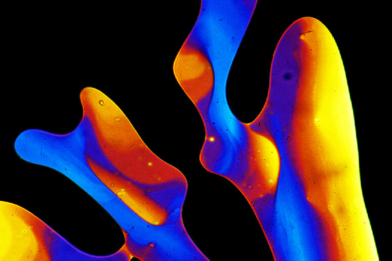Cristalli liquidi visti al microscopio (fonte: John Goodby, The Liquid Crystal Group, The University of Hull) - RIPRODUZIONE RISERVATA