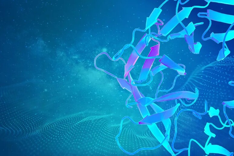 L’intelligenza artificiale ha decifrato la struttura 3D di quasi tutte le proteine note (fonte: Karen Arnott/EMBL-EBI) - RIPRODUZIONE RISERVATA