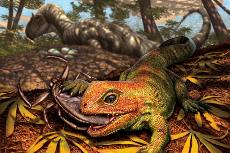 Rappresentazione artistica del rettile simile auna lucertola Opisthiamimus gregori, vissuto circa 150 milioni di anni fa, all 'epoca dei dinosauri (fonte: Julius Csotonyi for the Smithsonian Institution) - RIPRODUZIONE RISERVATA