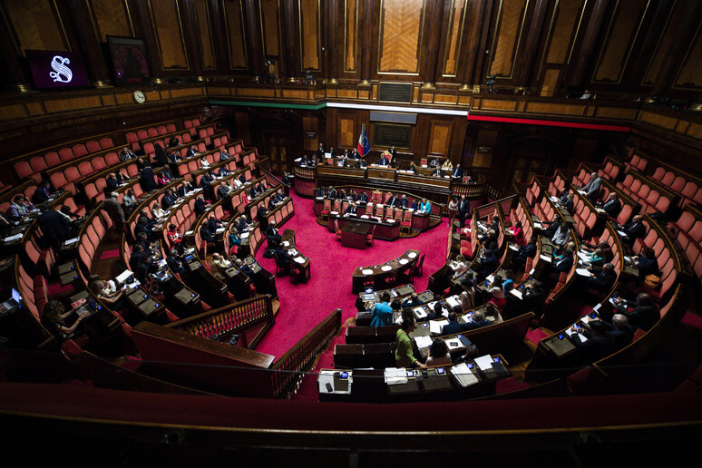 L 'Aula del senato in una foto di archivio - RIPRODUZIONE RISERVATA