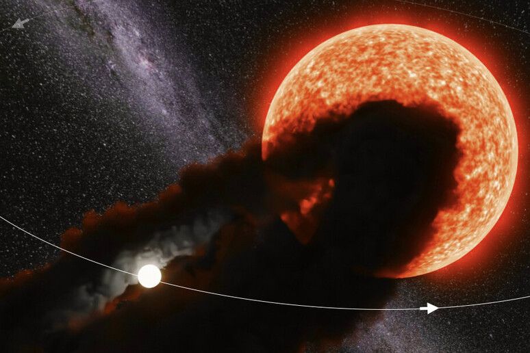 Rappresentazione artistica della stella Gaia17bpp, parzialmente eclissata dalle polveri che circondano una sua compagna più piccola (fonte: Anastasios Tzanidakis) - RIPRODUZIONE RISERVATA