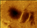 La macchia solare AR2192 (fonte: Alessandro Bianconi, Dolianova, CA) (ANSA)