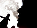 Fumo passivo, infiammazioni anche con breve esposizione (ANSA)