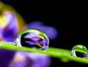 Si nasconde nelle gocce d’acqua il meccanismo, inseguito da decenni, alla base della nascita della vita sulla Terra (free via pixabay) (ANSA)