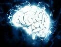Durante l’emicrania i neuroni sono meno attivi, ma allo stesso tempo riescono a sincronizzarsi in modo più veloce, portando a una risposta eccessiva della corteccia visiva (free via pixabay) (ANSA)