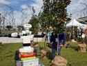 Il robot viticoltore presentato alla Maker Faire (fonte: Leonardo De Cosmo) (ANSA)