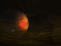 Rappresentazione artistica del disco di polveri intorno a un pianrta in formazione (fonte: ALMA-ESO/NAOJ/NRAO, S. Dagnello-NRAO/AUI/NSF) (ANSA)