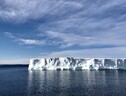 Piattaforme di ghiaccio dell’Antartide (fonte: Andy Thompson) (ANSA)