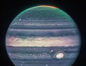 Immagine composita di Giove (fonte: NASA, ESA, CSA, Jupiter ERS Team; immagine elaborata da J. Schmidt)  (ANSA)