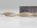 Una struttua a elica stampata in 3D in 'inchiostro di legno' si è automodellata essiccandosi (fonte: Doron Kam) (ANSA)