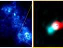 A sinistra la Piccola Nube di Magellano, a destra il ‘vagito’ della giovane stella Y246 (fonte: ALMA -ESO/NAOJ/NRAO, Tokuda et al. ESA/Herschel) (ANSA)
