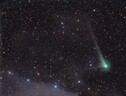 La cometa C/2017 K2 Panstarrs ripresa il 18 agosto dalla Namibia con un telescopio remoto (SkyGems).  (Astronomy Picture of the Day) il 20 agosto 2022. (Fonte: Rolando Ligustri - UAI) (ANSA)
