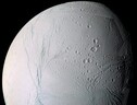 L’oceano di Encelado, la luna ghiacciata di Saturno, potrebbe nascondere un altro ingrediente fondamentale della vita: il fosforo (Fonte: Nasa/Jpl/Space Science Institute) (ANSA)