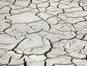 Drought in southern France (ANSA)