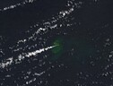 La nuova isola nata nell’oceano Pacifico (fonte: immagine di Nasa Earth Observatory presa da L. Dauphin, dati Landast di USGS) (ANSA)