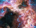 La Nebulosa Tarantola vista dallo strumento MIRI del telescopio Webb (fonte: NASA, ESA, CSA, e STScI) (ANSA)