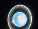 Immagine ingrandita di Urano, catturata dal Jwst il 6 febbraio 2023; il pianeta mostra una tonalità blu realizzata combinando i dati di due filtri (fonte: NASA, ESA, CSA, STScI. Image processing: J. DePasquale (STScI)) (ANSA)
