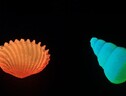 Oggetti fluorescenti fatti con il vetro prodotto con gli amminocacidi (fonte: Ruirui Xing et al., Science Advances) (ANSA)