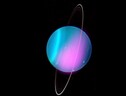 Possibili oceani su quattro lune di Urano (fonte: X-ray: NASA/CXO/University College London/W. Dunn et al; Optical: W.M. Keck Observatory)    (ANSA)