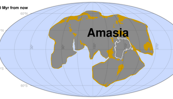 La possibile conformazione del supercontinente Amasia fra 280 milioni di anni (fonte: Curtin University) (ANSA)