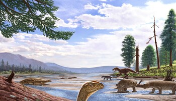 Ricostruzione artistica del più antico dinosauro africano, Mbiresaurus raathi (fonte: A. Atuchin) (ANSA)
