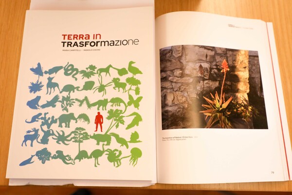 L'arte riflette sul clima, 100 autori in mostra a Trieste © ANSA