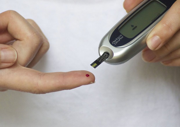 Diabete, il 9,5% dei casi in Usa non è diagnosticato (fonte: Pixabay) © Ansa