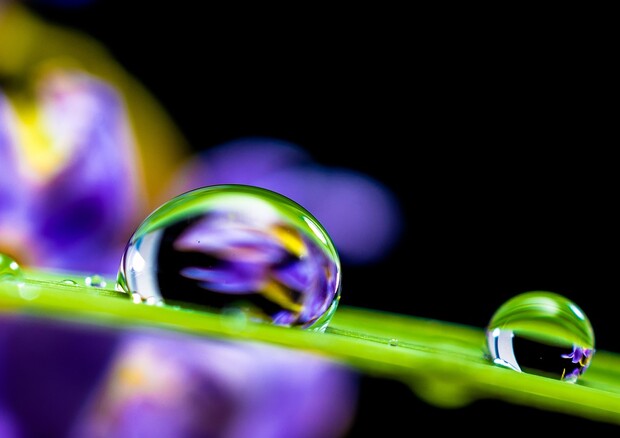 Si nasconde nelle gocce d’acqua il meccanismo, inseguito da decenni, alla base della nascita della vita sulla Terra (free via pixabay) © Ansa